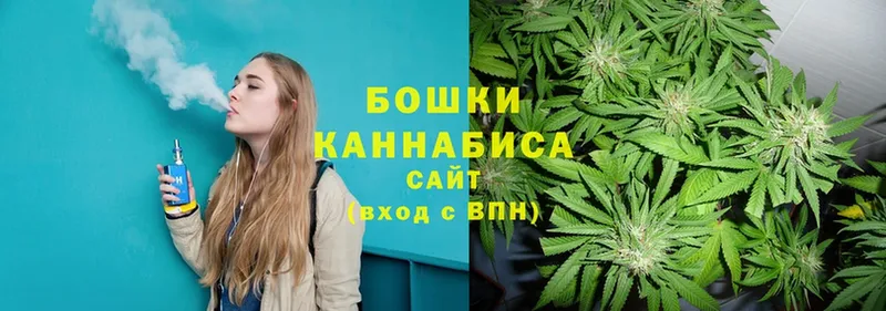 Шишки марихуана OG Kush  Гусев 